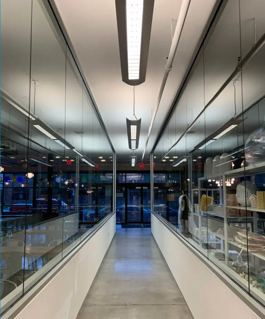 Illuminate Your Well-being: The Health Impact of Lighting and How FL-41 Can Help - RemedyLens